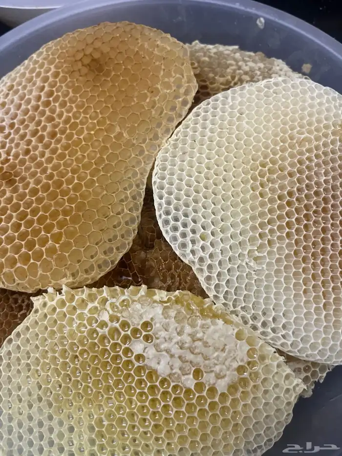 عسل سدر صافي شرط 0