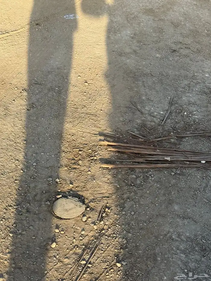 شاحنة لوري تسليك 1