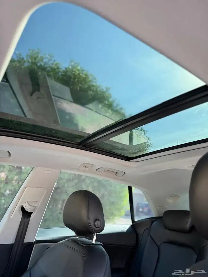 اودي كيو 8 2020 16