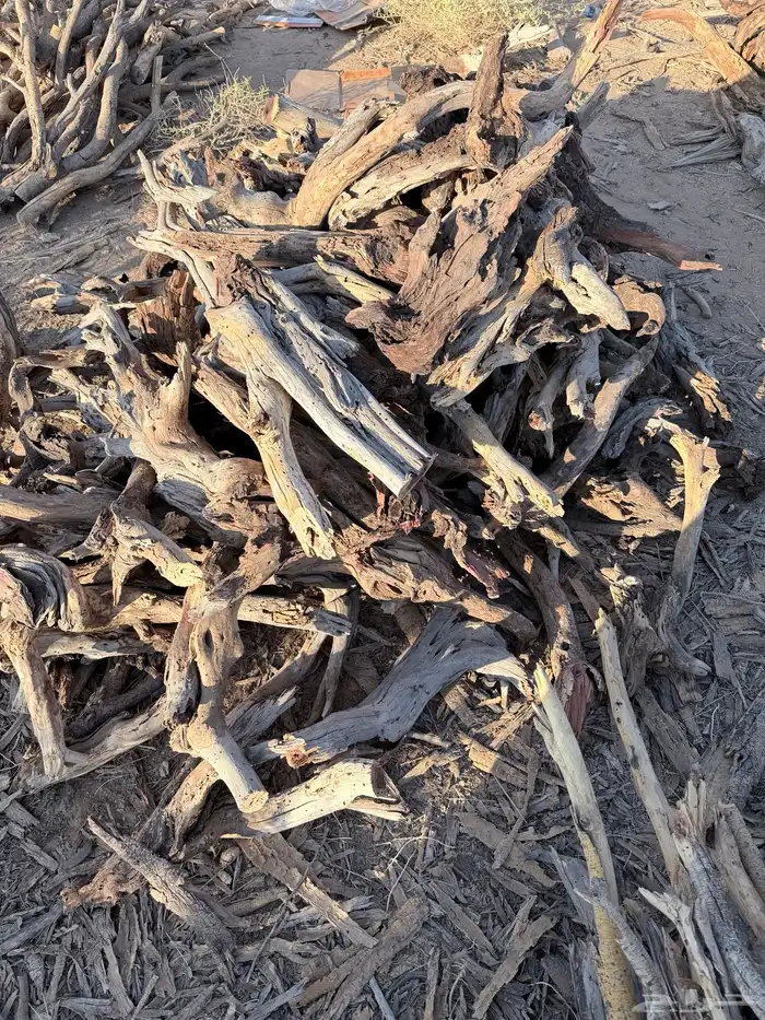 حطب مستورد س م ر 3