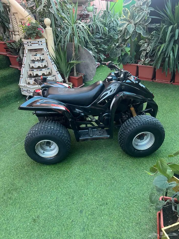 دباب تايواني امامي وريوس 6