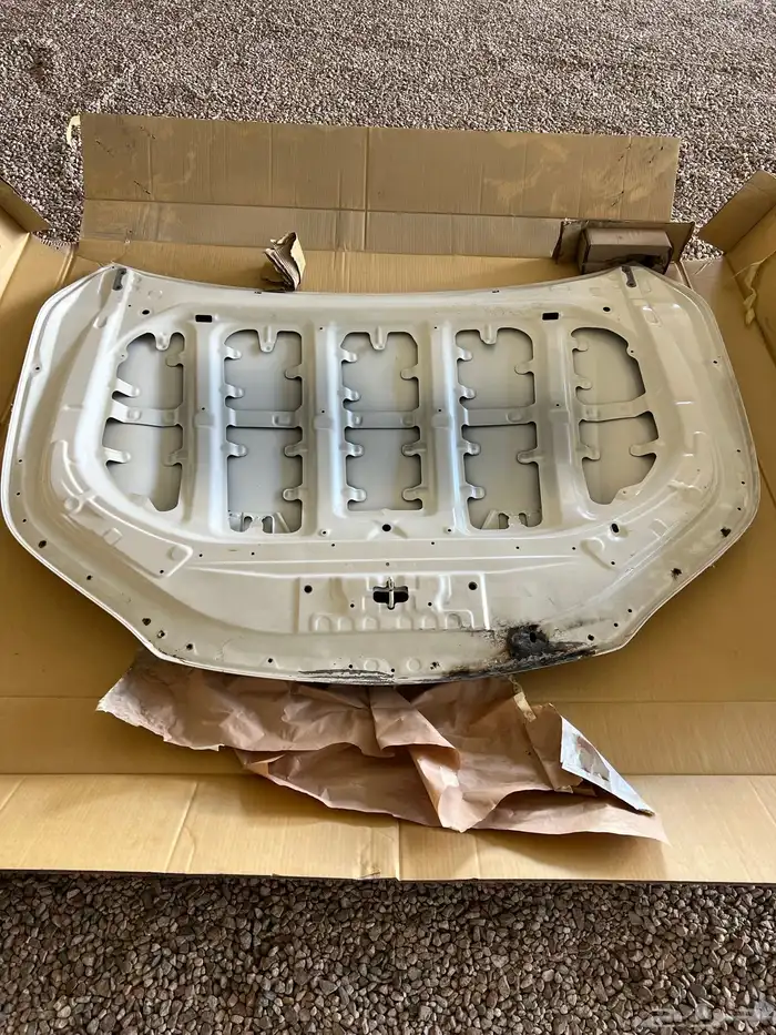 كبوت فورشنر 2017 3