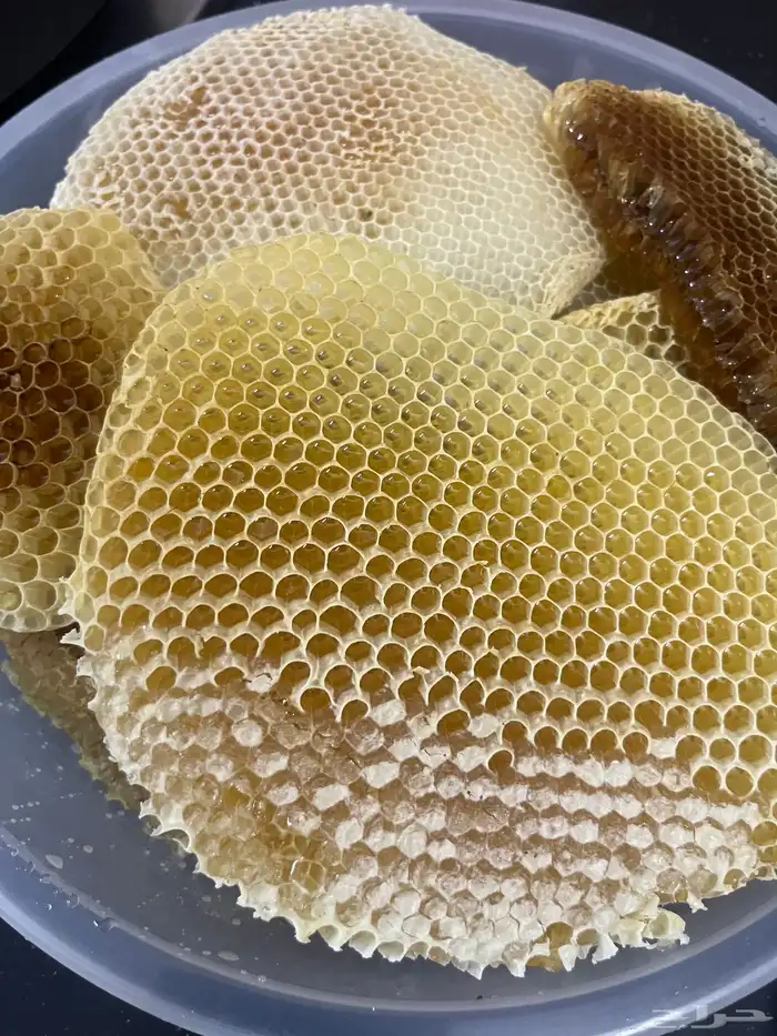 عسل سدر صافي شرط 6