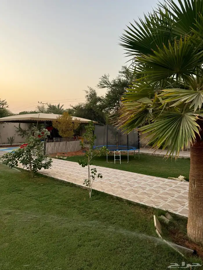 استراحة للاجار في ديراب مساحة كبيرة ومرتبة للمناسبات 3