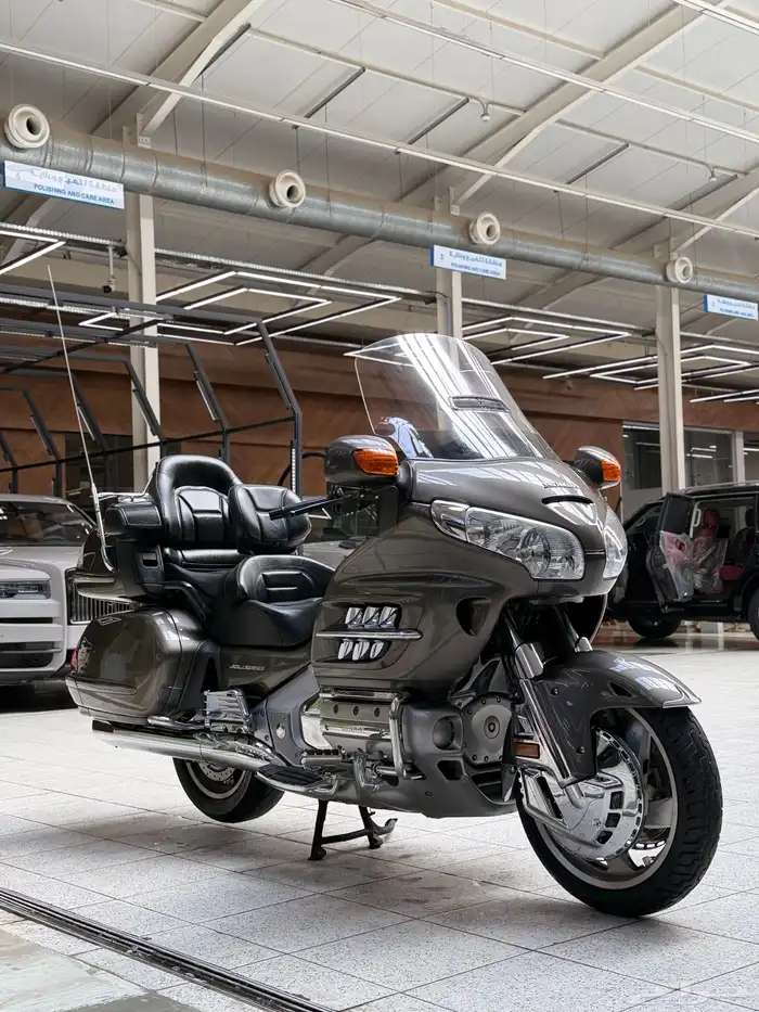 قولد وينق 2009 1