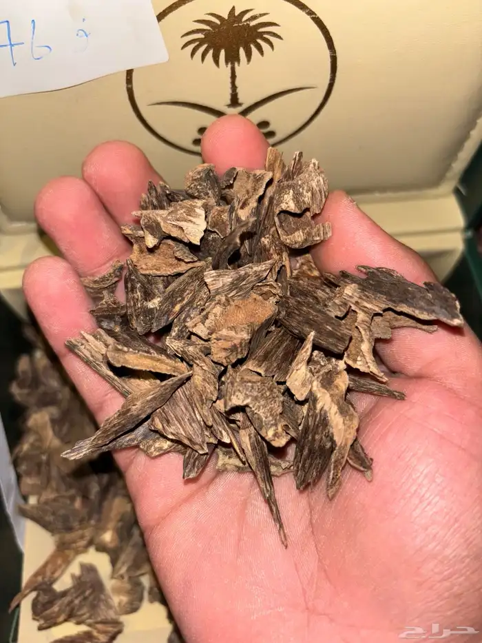 عود هندي موري دبل وتربل سوبر كفوو 3