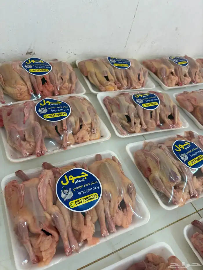 زغاليل حمام فرنسي 0