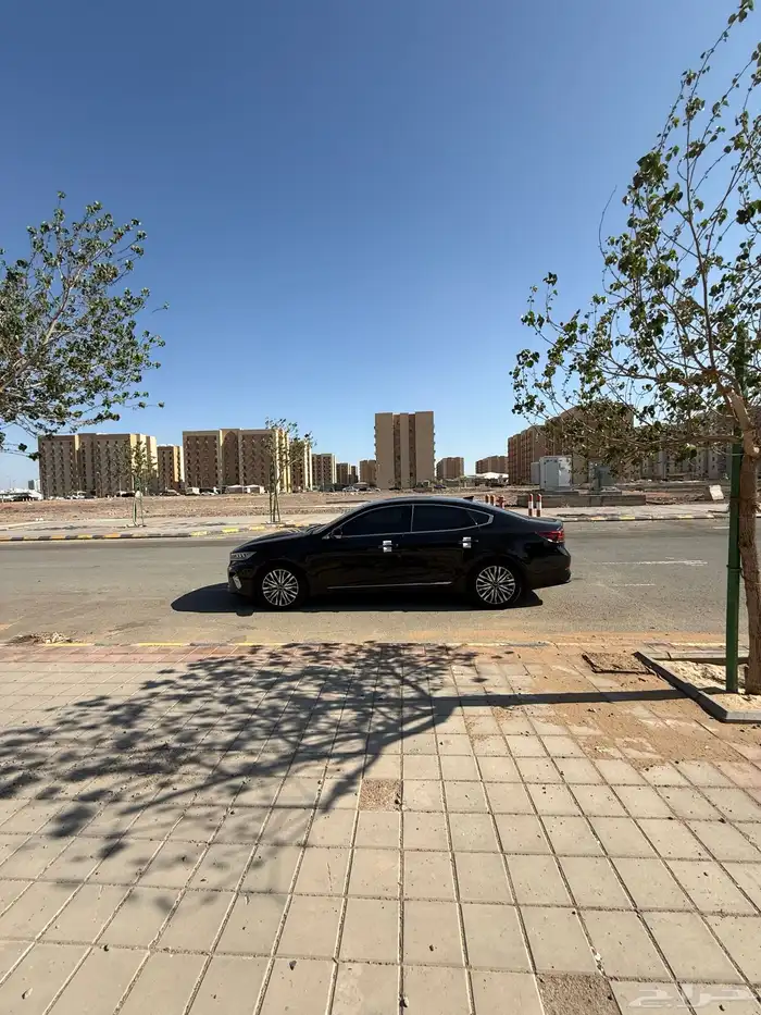 كادينزا 2020 -6سلندر 8