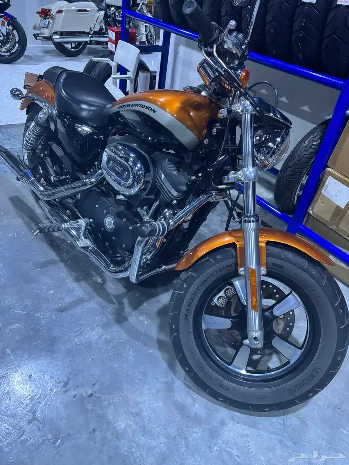 هارلي سبوستر 2016 4