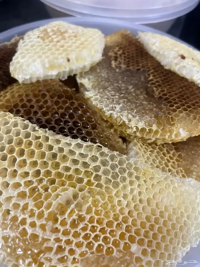 عسل سدر صافي شرط 7