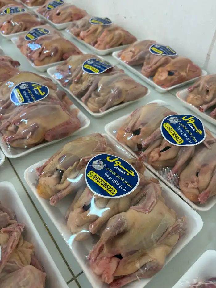 زغاليل حمام فرنسي 1