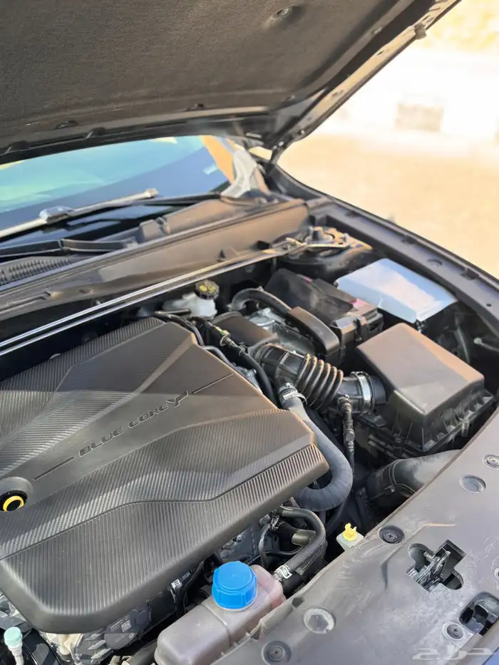 شانجان يوني في 2024 2