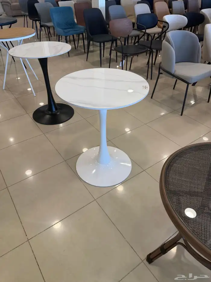 جده الخمره 51