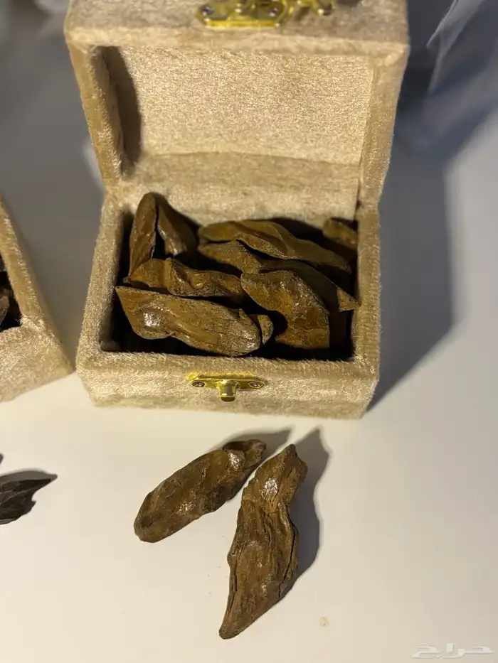 عود مميز مخدوم لباب بيتك 2