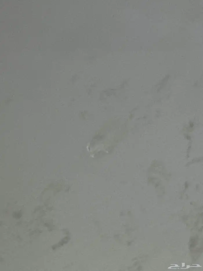 مكينة قهوتي ( K-cup ) مقاس الكبسولات 1