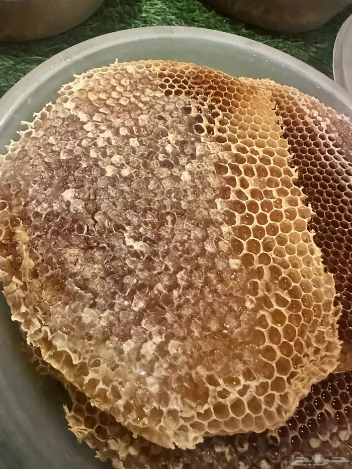 عسل سدر قص جديد 3