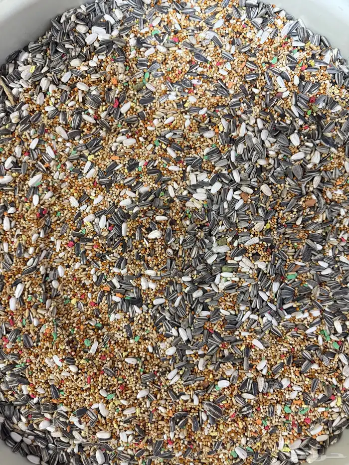 للبيع أكل ببغاوات مشكل ب الكيلو 3