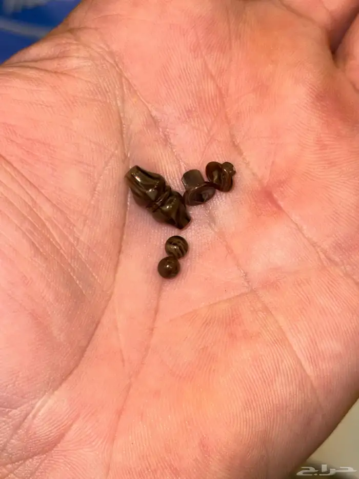 مسباح من عصي المانية صب قديم 7