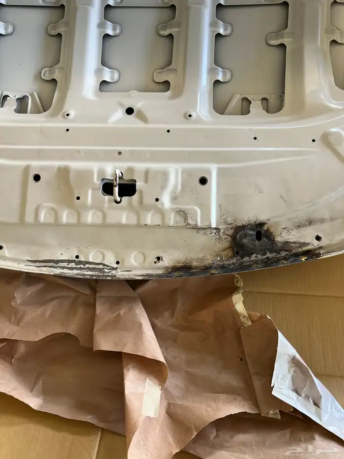 كبوت فورشنر 2017 4