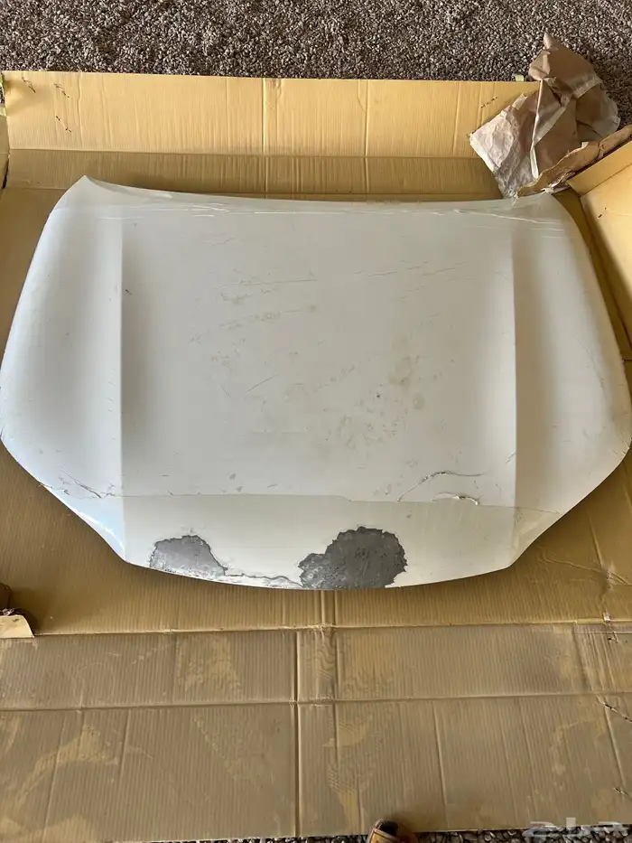 كبوت فورشنر 2017 0