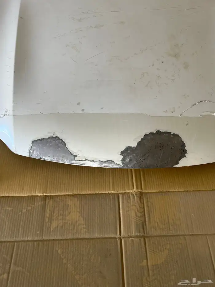 كبوت فورشنر 2017 1