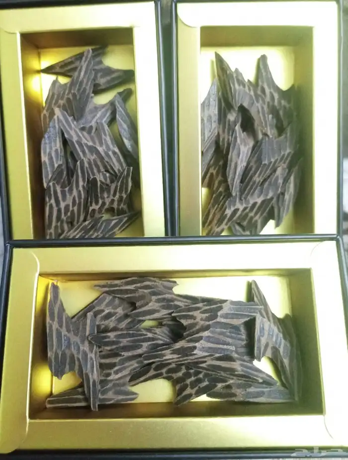 عود تايقر فاخر 7