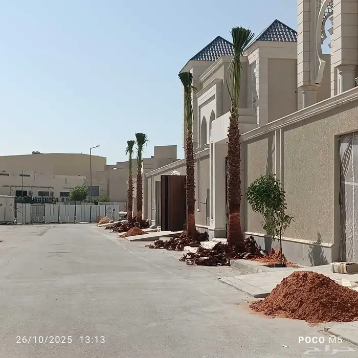 نقوم بتوريد تركيب جميع انواع النخيل 2