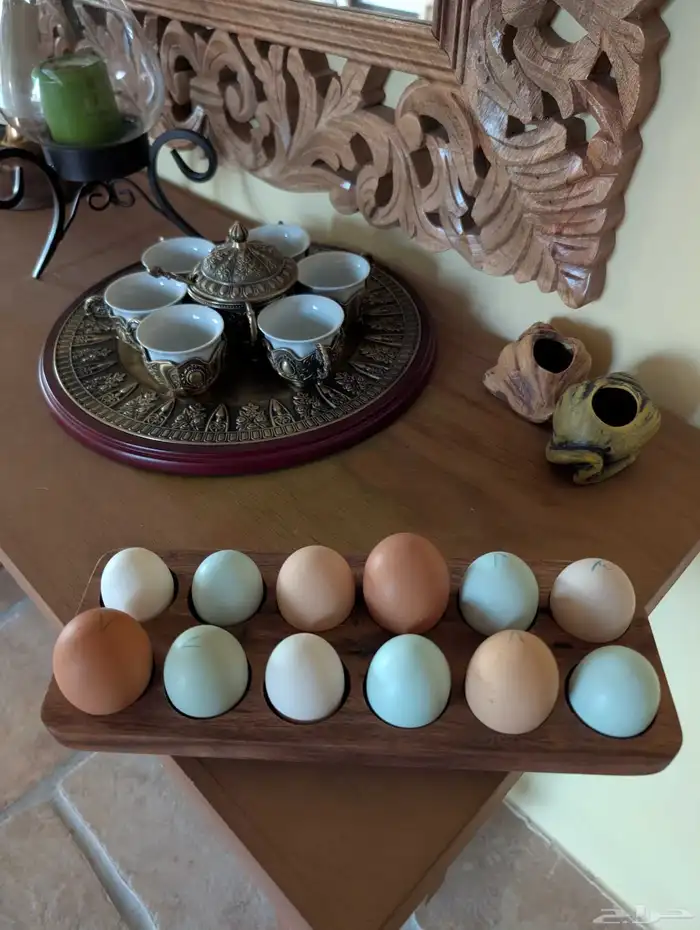 طبق بيض ملون 2