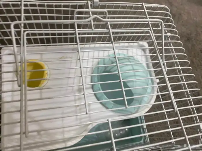 السلام عليكم ورحمه الله وبركاته اعرض لكم قفص هامستر للبيع 3