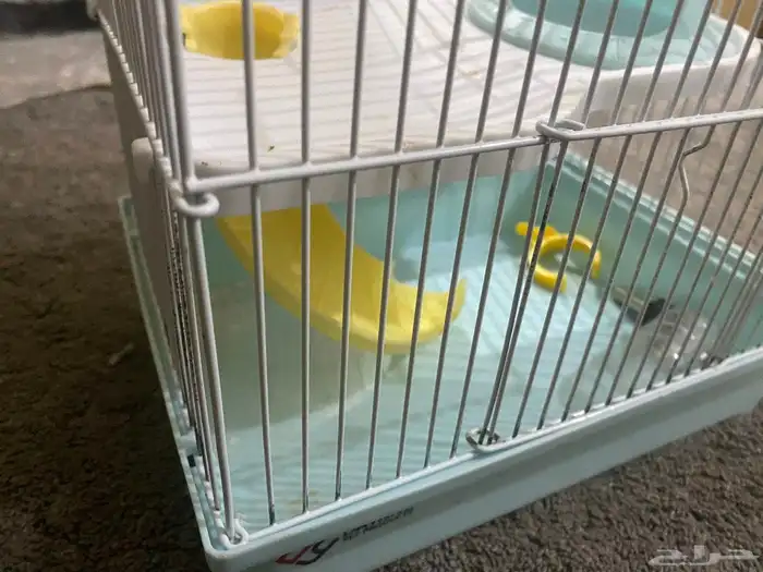 السلام عليكم ورحمه الله وبركاته اعرض لكم قفص هامستر للبيع 4