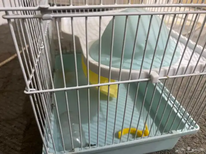 السلام عليكم ورحمه الله وبركاته اعرض لكم قفص هامستر للبيع 0