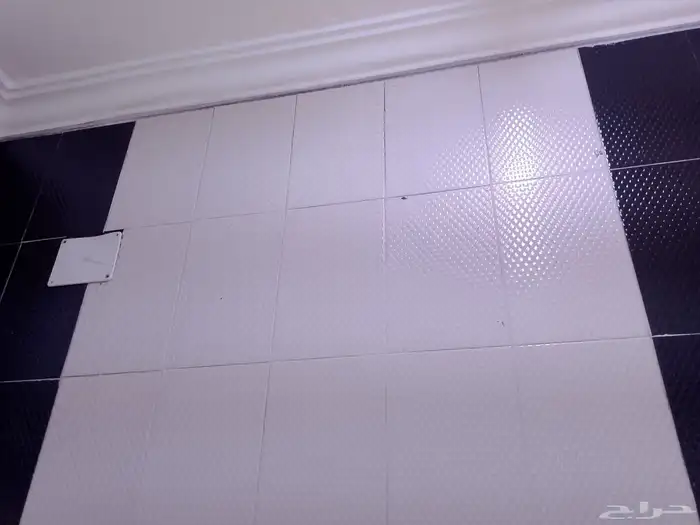 مبلط باكستاني سيراميك بورسلان ارضيات كشاني شغل 100 100 ان شا 9