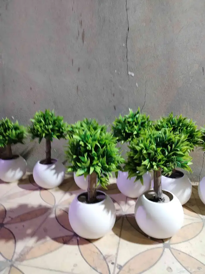 شجر صناعي في جذوع شجر طبيعي تصلح للممرات ومداخل الشقق 5