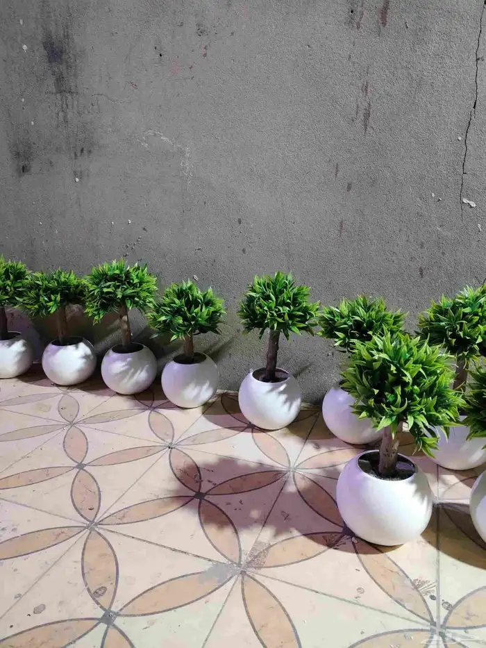 شجر صناعي في جذوع شجر طبيعي تصلح للممرات ومداخل الشقق 3