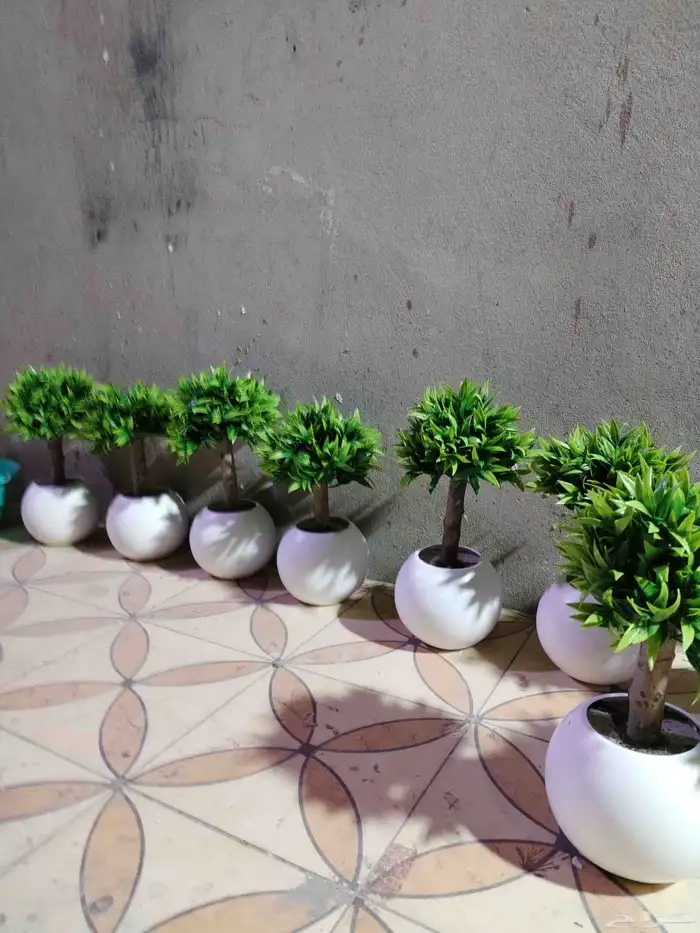 شجر صناعي في جذوع شجر طبيعي تصلح للممرات ومداخل الشقق 4