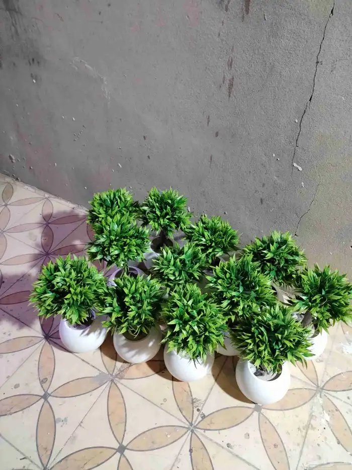 شجر صناعي في جذوع شجر طبيعي تصلح للممرات ومداخل الشقق 1