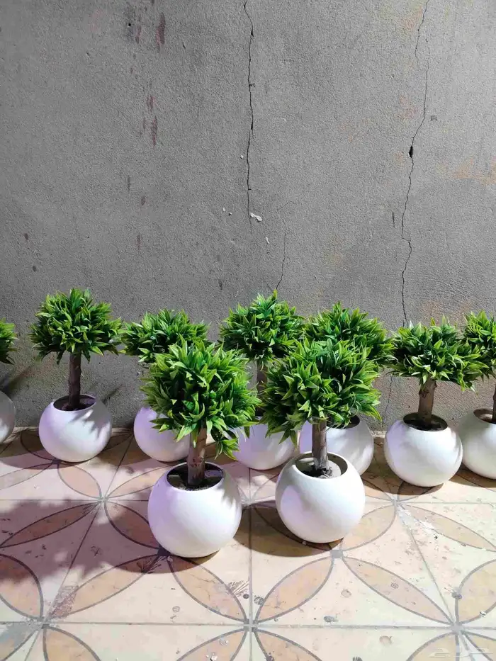 شجر صناعي في جذوع شجر طبيعي تصلح للممرات ومداخل الشقق 2