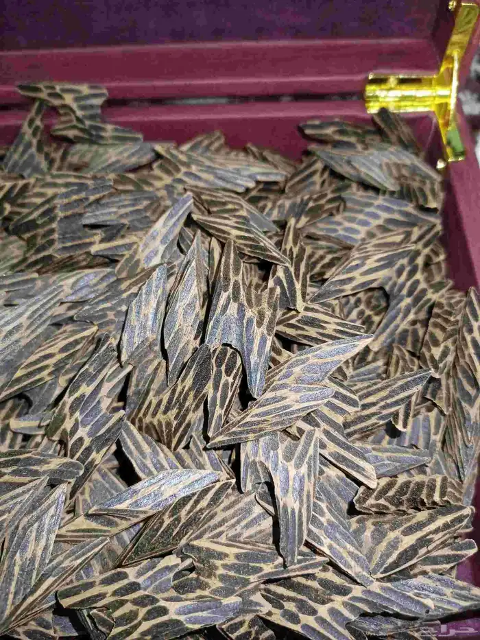 عود تايقر فاخر 0