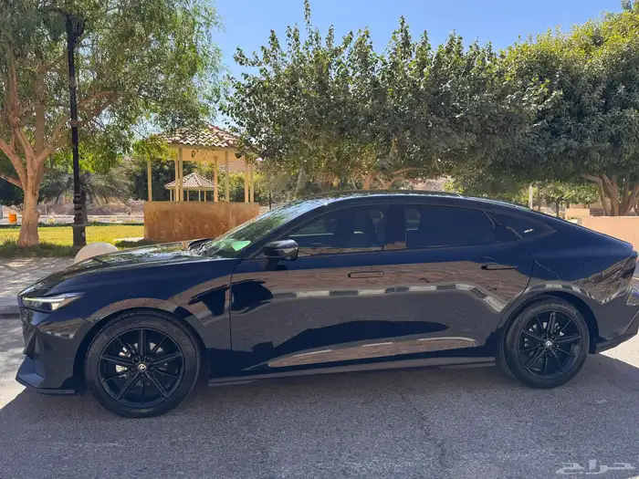 شانجان يوني في 2024 1