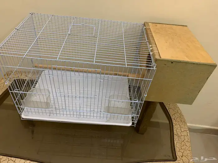 قفص عصافير 1