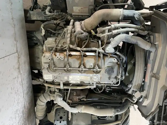 ايسوزو دينا شرط الفحص استمارة مطوفة سنة والفحص منتهي 7