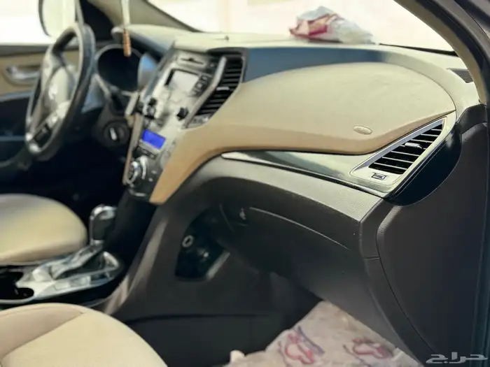 سنتافي 2014 نصف الفل 12