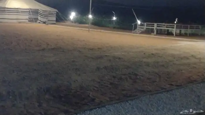 مخيم البستان الزويليات 0