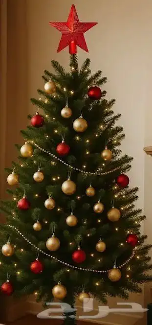 تنسيق حفلات كرسمس تجهيز كرسمس 1