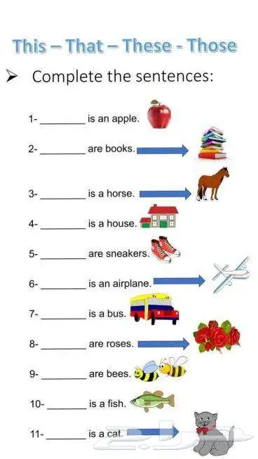 أفضل معلمة خصوصية تأسيس ومتابعة English   رياضيات ل غتي 2