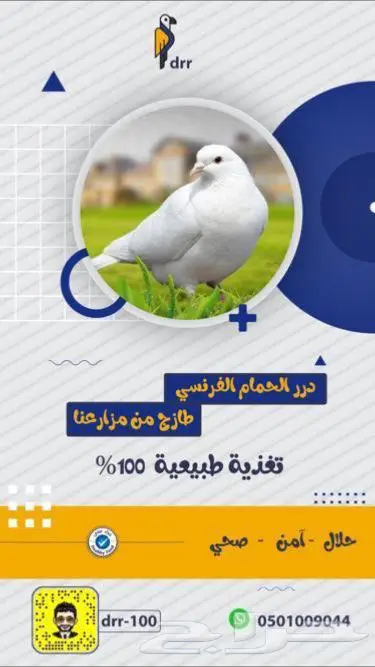 زغاليل حمام فرنسي شحم ماشاء الله 1