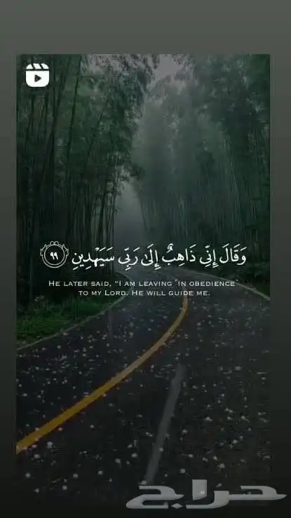 محتاج شقه للايجار شهري في حي الموسي يكون اجار مناسب عوائل 0