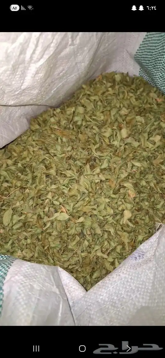 حنه ورق من المزرعه كيس كبير تقريبا 10 كيلو للبيع 1