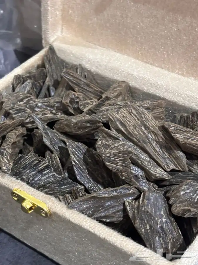 عود كلمنتان 0