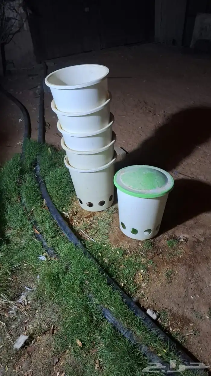 مستلزمات طيور 3